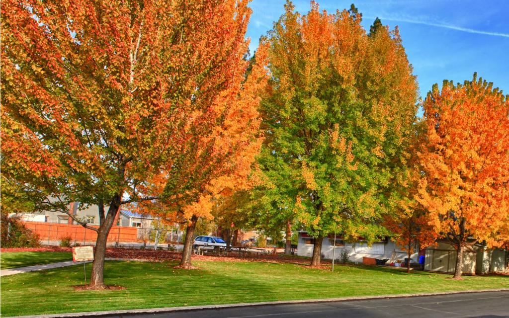 Shasta Pines Motel & Suites Burney 외부 사진